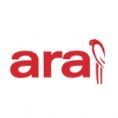 ara v/angulus