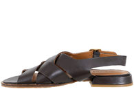 ANGULUS 5862-101-3639