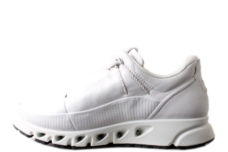 Ecco omni online
