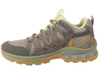 GREEN COMFORT 231006 Q81 47