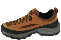 GREEN COMFORT 231016 Q81 30
