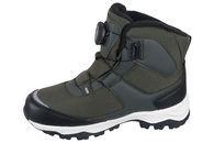 WHISTLER W254313 3006
